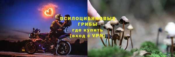 дурь Касимов