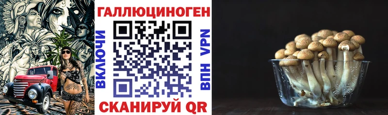 Галлюциногенные грибы Cubensis  Купить  Ишим 
